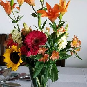 Meet your Posher, Tammy